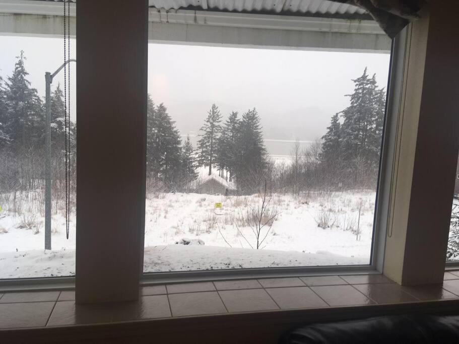 Kelli Creek Cottage - Reduced Price On Tours Juneau Habitación foto