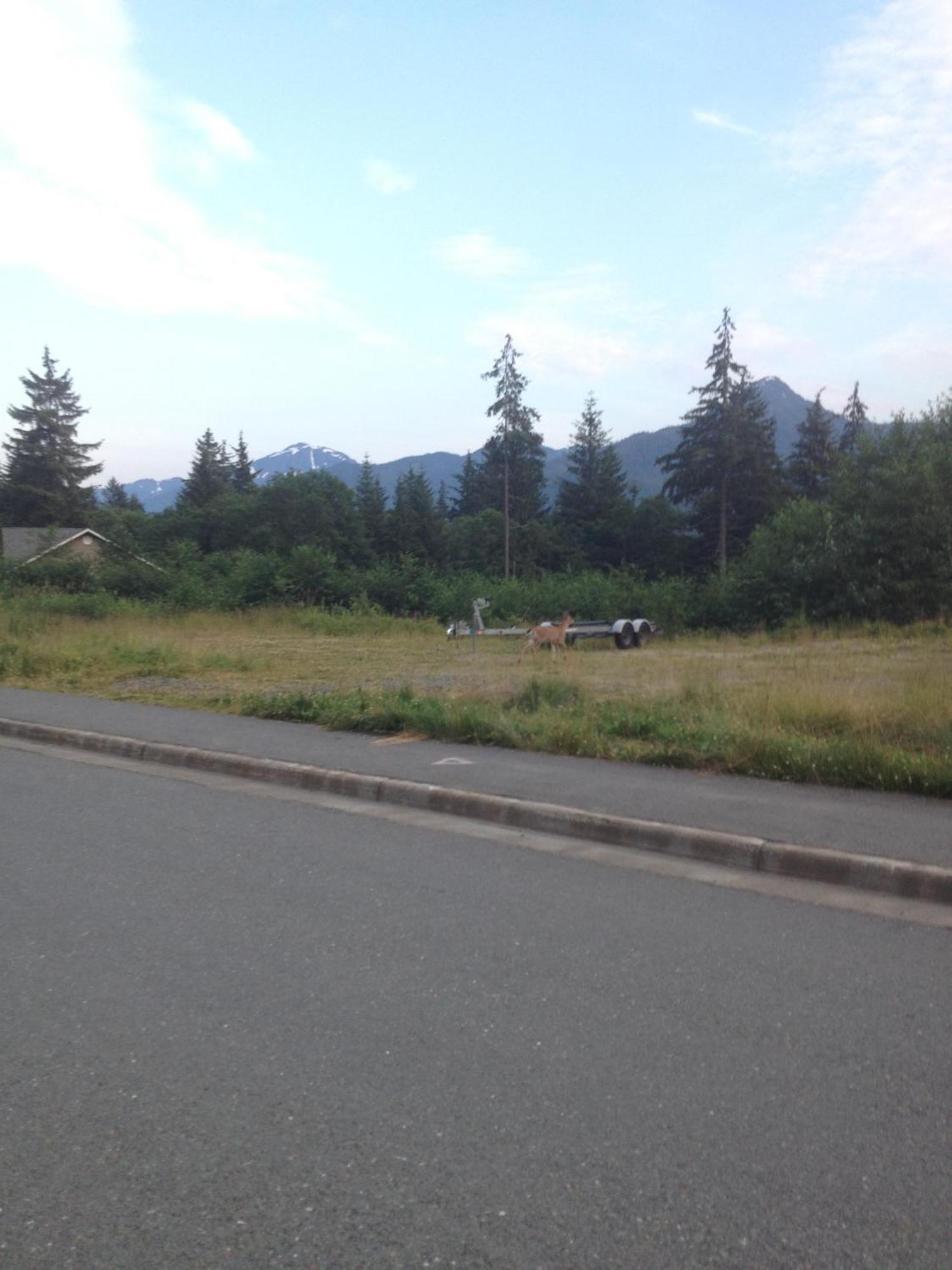 Kelli Creek Cottage - Reduced Price On Tours Juneau Exterior foto